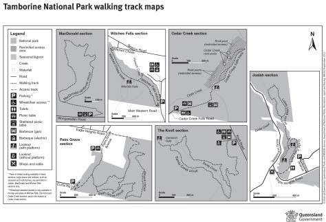 Tamborine National Park walking track map